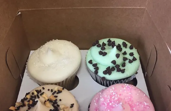 Yummy Cupcakes Bloomfield Hills