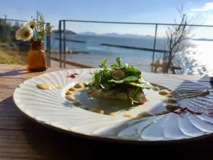 Cafeocean