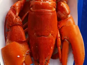 Markey's Lobster Pool