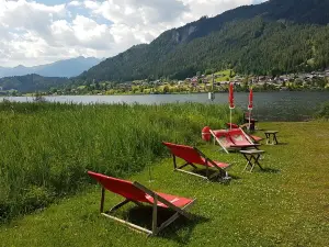Tschascheleria