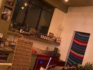 Mezcaleria Gota Gorda
