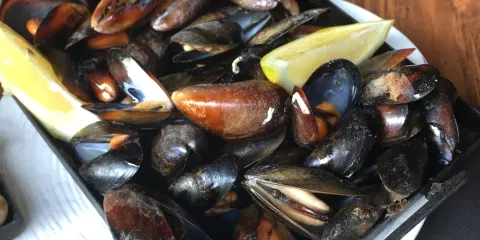 La Vermuteria de La Zapa