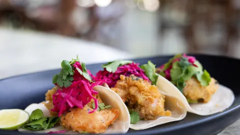 Chaman Cuisine by Pepem in Tulum