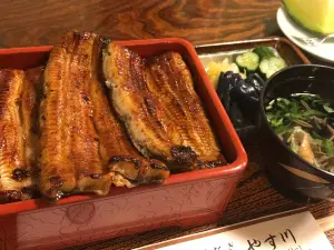 Unagi Yasukawa
