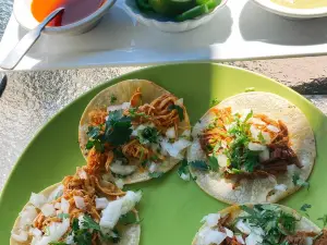 Santo Coyote Mexican Kitchen