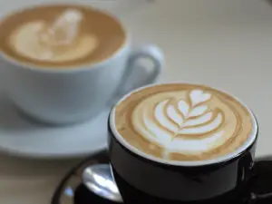 Monky Coffee