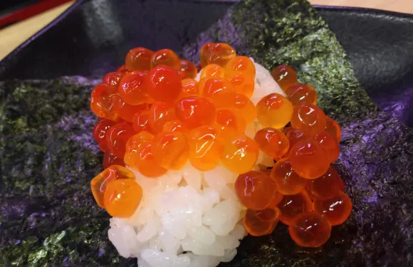 Sushiroomura Saiwai-Machi
