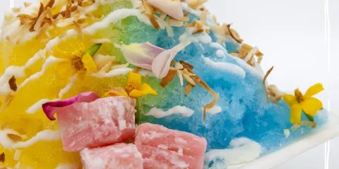 Gecko Girlz Shave Ice