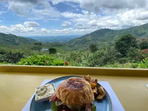 Mirador Cafe Concorde Estate Coffee