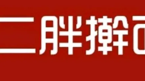 二胖擀面皮(中山街店) in Zhenping