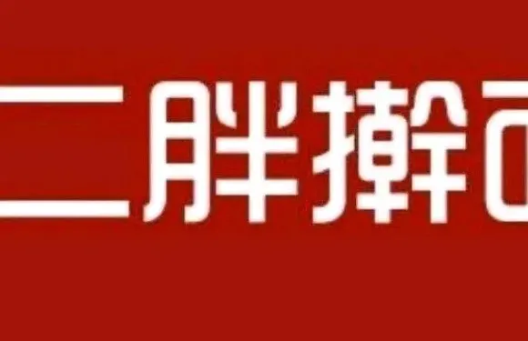 二胖擀麵皮