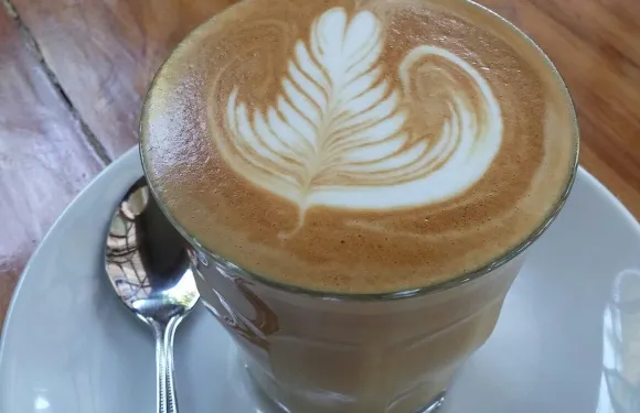 BAMBOO The Coffee Parlour