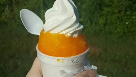 Sno-To-Go in วิลเลียมสเบิร์ก