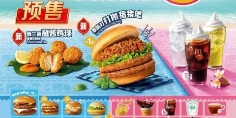 麥當勞（山南拉薩貢嘎機場店）