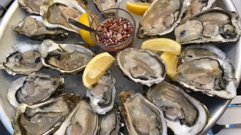Malmstens fisk in Lund
