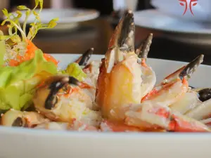Solocarnes y Aquarium