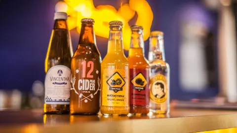 Podobrazy Cafe in บริโน