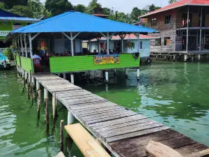 Restaurant Alvin / Kecha