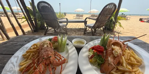 The Bongo Beach Shack