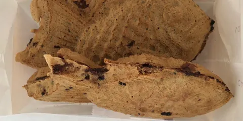 Taiyaki Hompo Yujido Nishinikaimachi