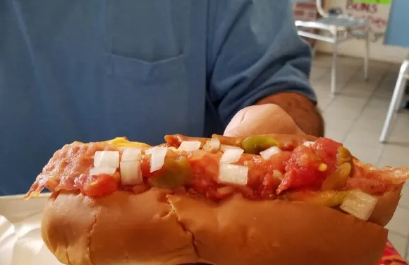 Trolly Stop Hot Dogs - Chapel Hill