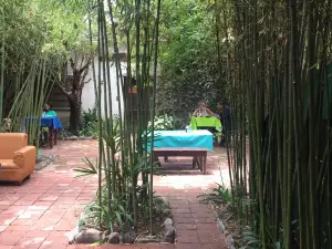 Madre Tierra