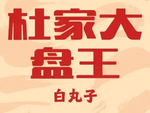 杜家大盘王(金三角店)