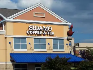 Sidamo Coffee