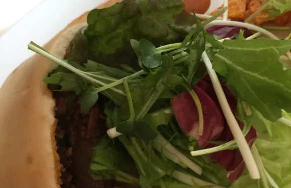 Mexican Restaurant Hope Bell