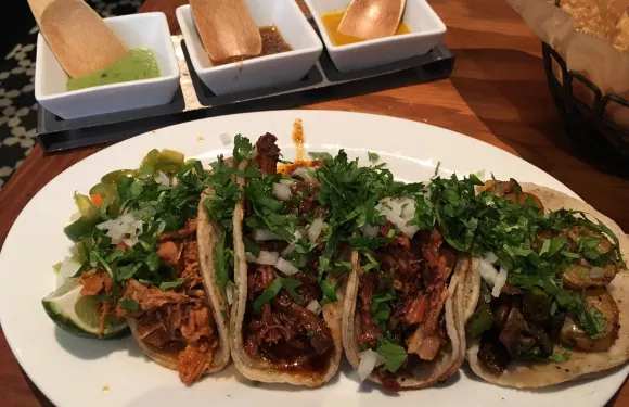Tacolicious