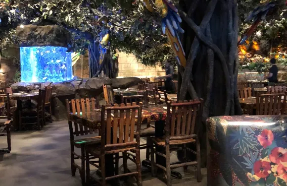 The Rain Forest Cafe'