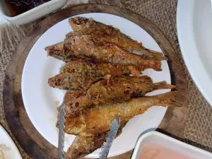 MASINGngo