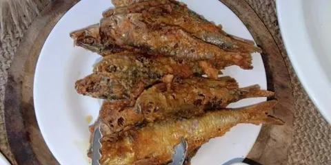 MASINGngo