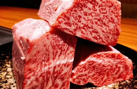 Teppanyaki Steak House Iron