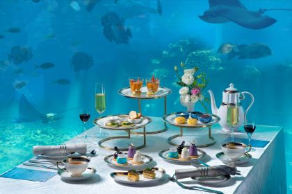 Aqua - Aquarium Restaurant