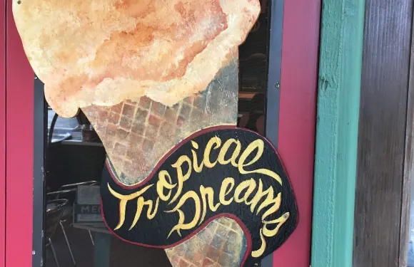 Tropical Dreams Ice Cream