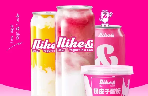 Ilire&手工酸奶（湘鄉店）