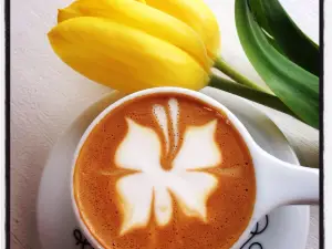 Haute Coffee