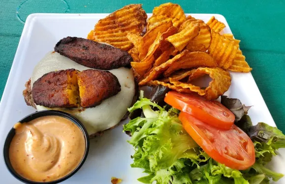 Zogg's Raw Bar & Grill