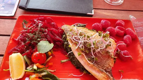 Restaurant Cafe Bar Hirsch in Цингст
