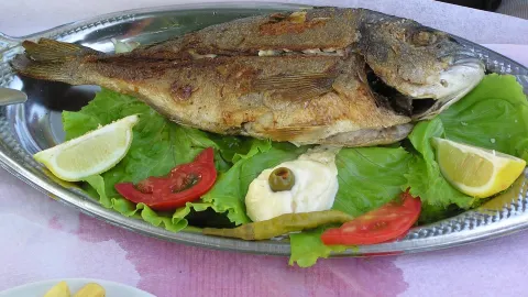 Shkoder. Bar-Restorant MONTE in Shkoder
