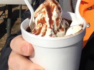 Frosty Freeze