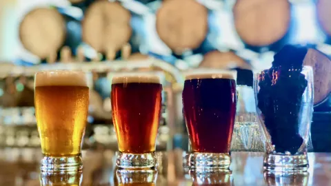 Bull City Solera and Taproom in トライアングル