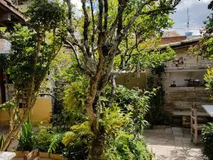 O Alquimista Restaurantes