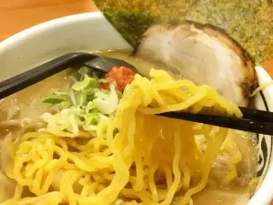 Hokkaido Ramen Okuhararyu Hayatemaru Toyosaki
