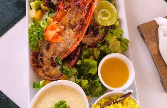 Your Choice Rastaurant