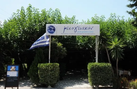Mesogiakon