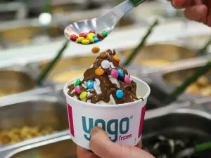 Yogo Frozen