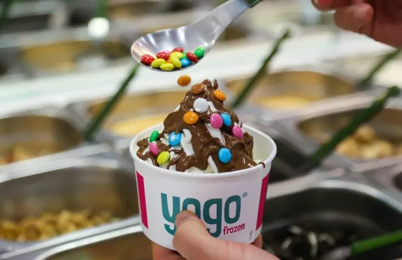 Yogo Frozen