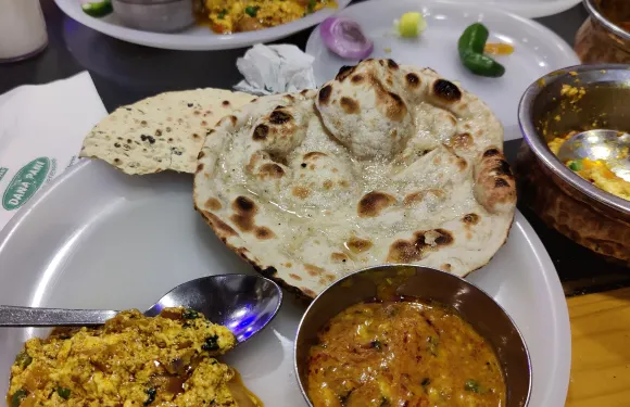 Dana Pani